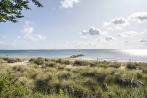 Hook Sands Thumb