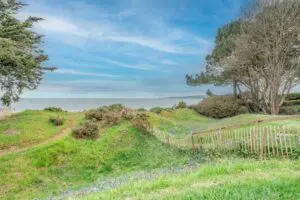 Hook Sands Thumb