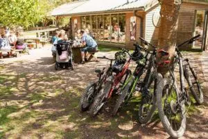 E-Bike Half-Day Trip to Harrys Rock or Corfé Castle Thumb