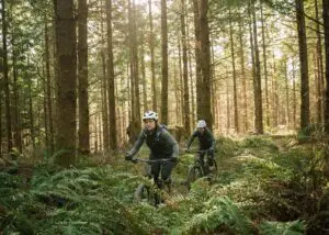 E-Bike Half-Day Trip to Harrys Rock or Corfé Castle Thumb