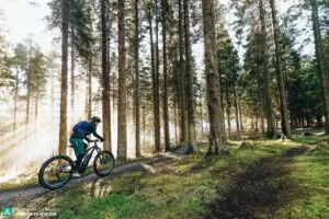 E-Bike Half-Day Trip to Harrys Rock or Corfé Castle Thumb