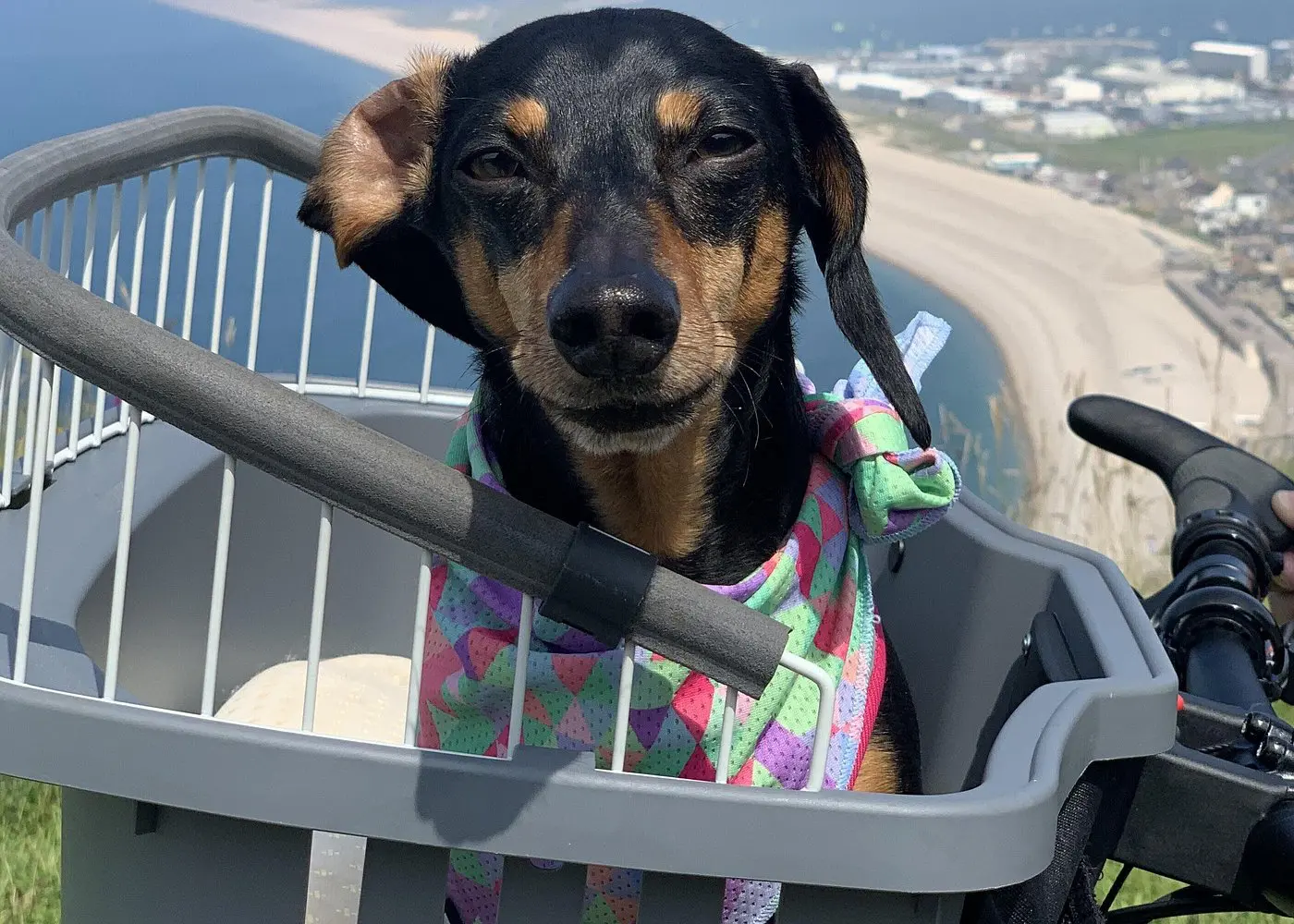 E-Bike Half-Day Trip to Harrys Rock or Corfé Castle