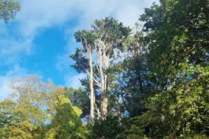 Full Day Guided Small Group Tour of Central Dorset Thumb