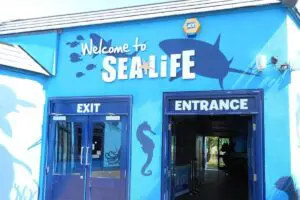 SEA LIFE Adventure Park Thumb