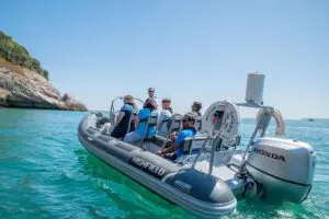 Torquay Coastal RIB Seafari Thumb