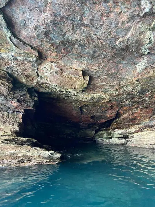 Torquay Coastal RIB Seafari
