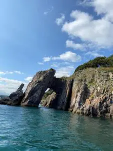 Torquay Coastal RIB Seafari Thumb