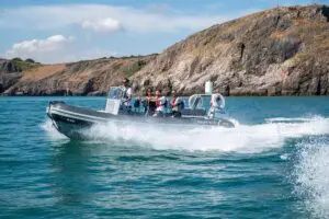 Torquay Coastal RIB Seafari Thumb