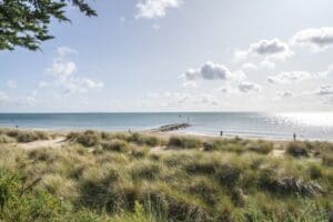 Hook Sands Thumb