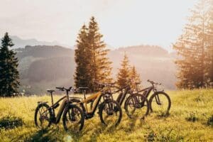 E-Bike Half-Day Trip to Harrys Rock or Corfé Castle Thumb