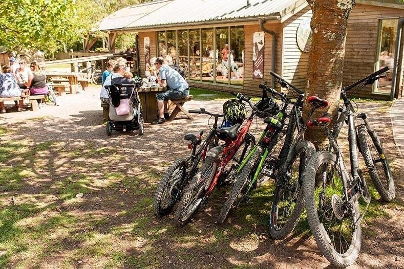 E-Bike Half-Day Trip to Harrys Rock or Corfé Castle