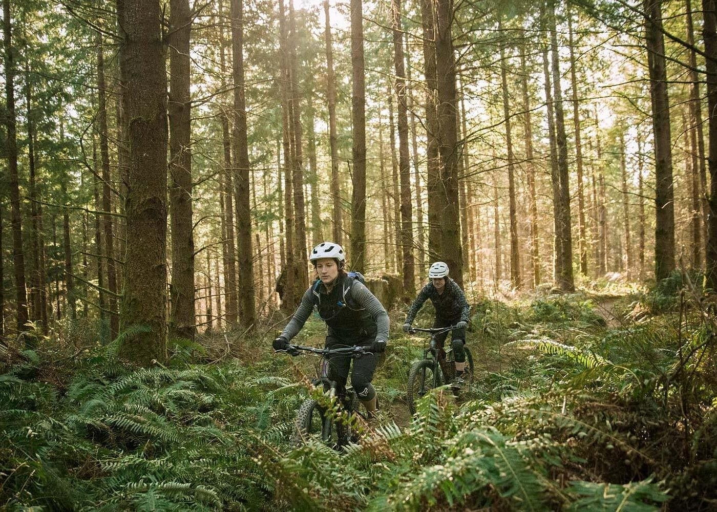 E-Bike Half-Day Trip to Harrys Rock or Corfé Castle