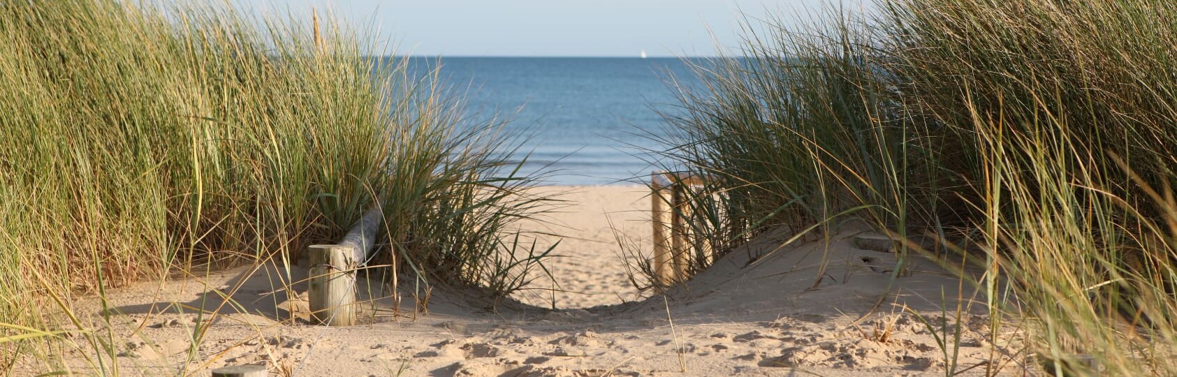 Footpath through sand dunes Sandbanks Beach – Poole Dorset