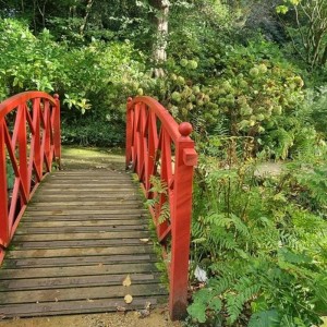 Full Day Guided Small Group Tour of Central Dorset Thumb