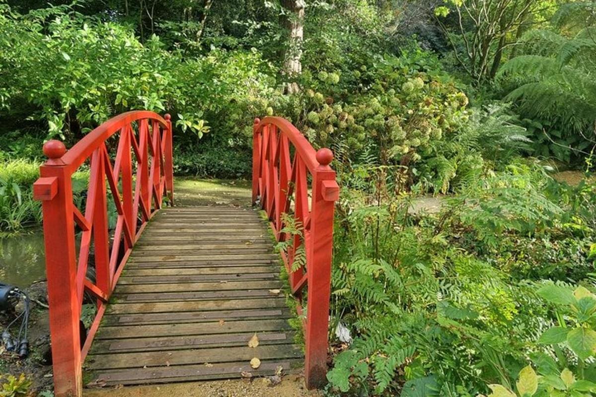 Full Day Guided Small Group Tour of Central Dorset