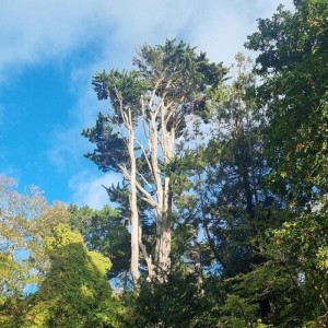 Full Day Guided Small Group Tour of Central Dorset Thumb