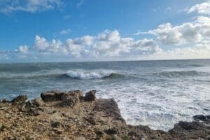 Full Day Guided Small Group Tour of Central Dorset Thumb