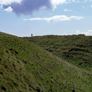 Full Day Guided Small Group Tour of Central Dorset Thumb