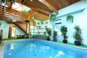 Knoll House Thumb