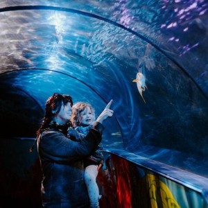 SEA LIFE Adventure Park Thumb