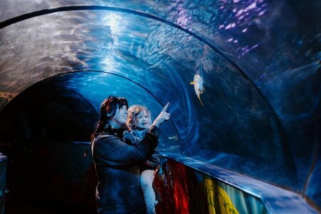 SEA LIFE Adventure Park