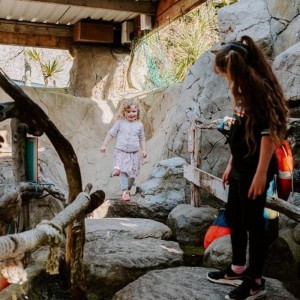 SEA LIFE Adventure Park Thumb