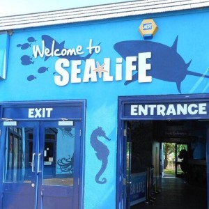 SEA LIFE Adventure Park Thumb