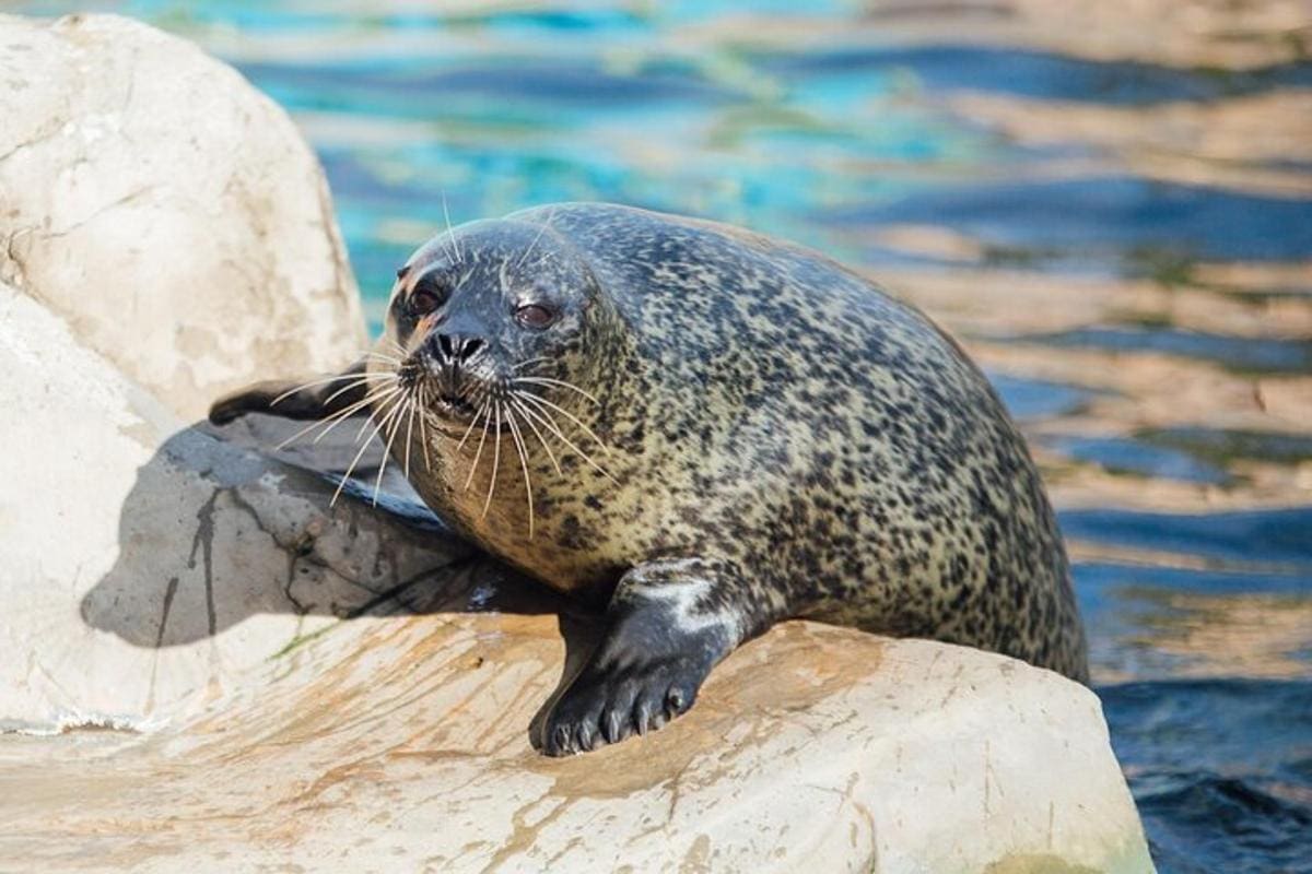 SEA LIFE Adventure Park
