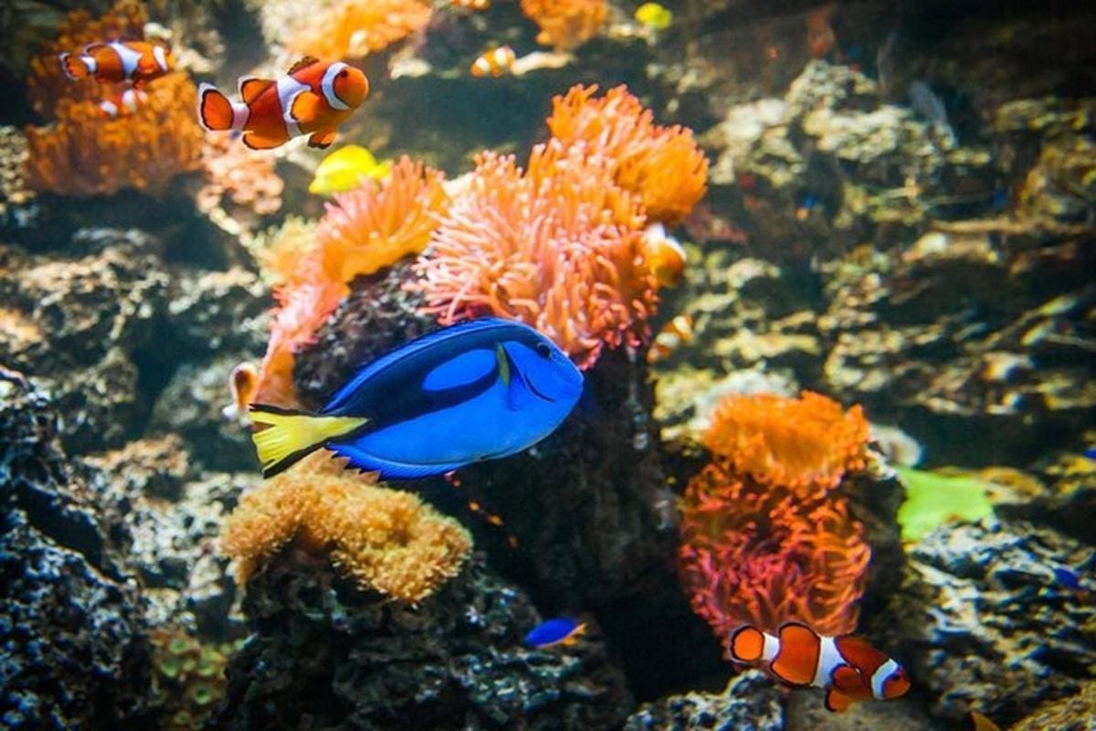 SEA LIFE Adventure Park