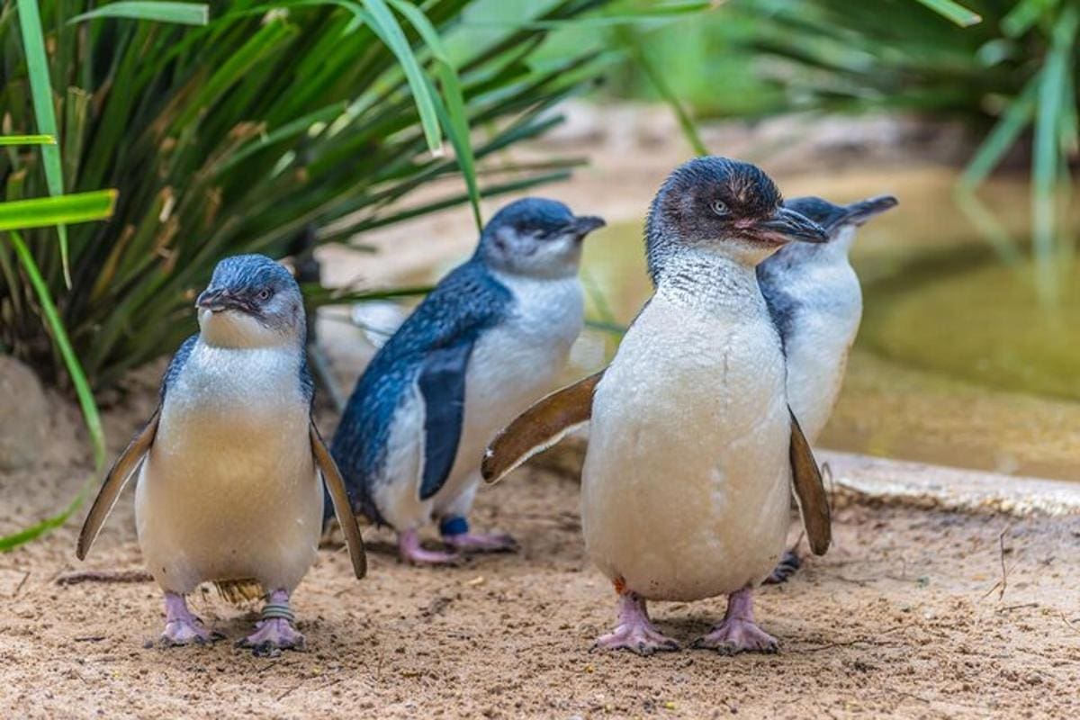 SEA LIFE Adventure Park