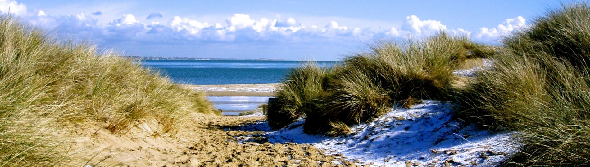 Studland beach, near Sandbanks Dorset