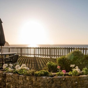 The Pines Hotel Thumb