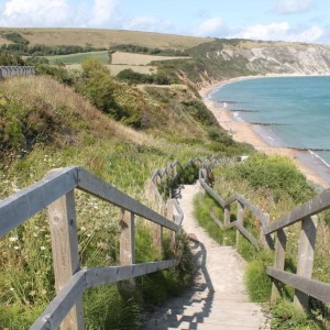 The Pines Hotel Thumb