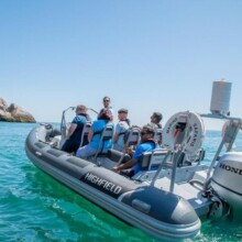 Torquay Coastal RIB Seafari