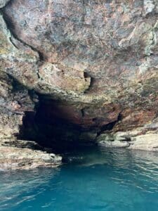 Torquay Coastal RIB Seafari Thumb