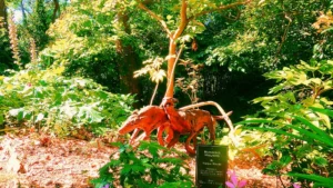 Compton Acres Thumb