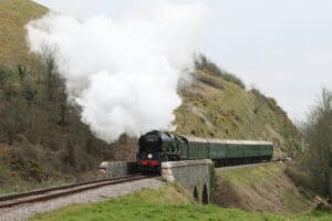 Swanage Thumb
